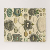 Vintages Vogeleier Nest Malereieier Puzzle (Horizontal)