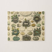 Vintages Vogeleier Nest Malereieier Puzzle (Horizontal)