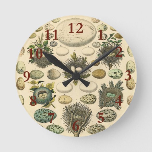 Vintages Vogeleier Nest Malereieier Runde Wanduhr (Vorderseite)