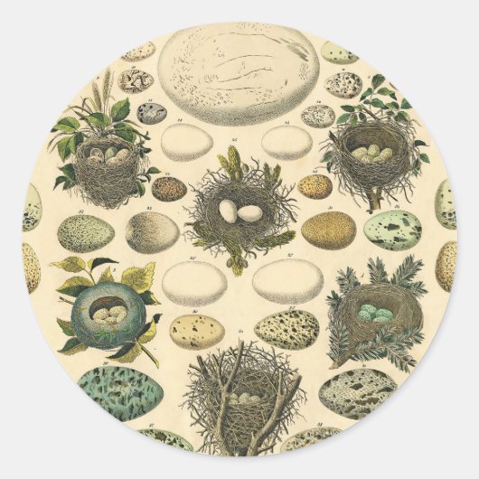 Vintages Vogeleier Nest Malereieier Runder Aufkleber (Vorderseite)