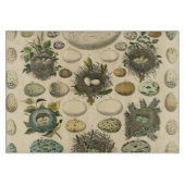 Vintages Vogeleier Nest Malereieier Schneidebrett (Vorderseite)