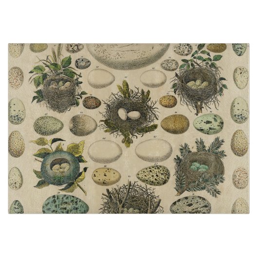 Vintages Vogeleier Nest Malereieier Schneidebrett (Vorderseite)