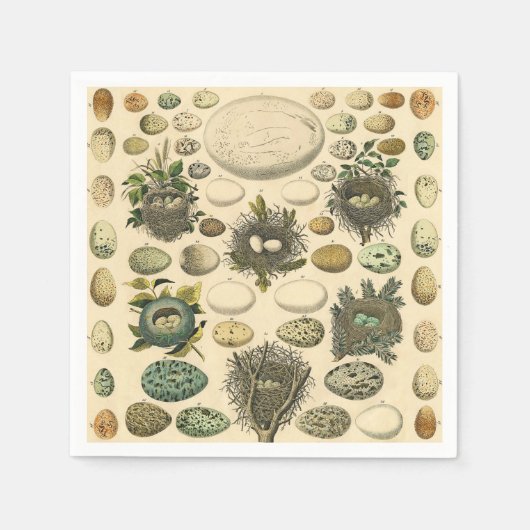 Vintages Vogeleier Nest Malereieier Serviette (Vorderseite)