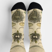 Vintages Vogeleier Nest Malereieier Socken (Oben)