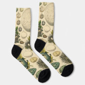 Vintages Vogeleier Nest Malereieier Socken (Rechts)