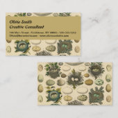 Vintages Vogeleier Nest Malereieier Visitenkarte (Vorne/Hinten)