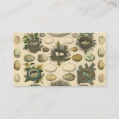 Vintages Vogeleier Nest Malereieier Visitenkarte (Rückseite)