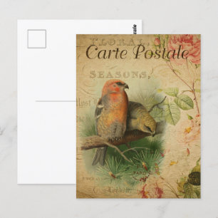 Vintages Vogelparadies Postkarte