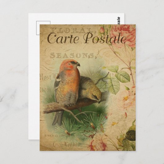 Vintages Vogelparadies Postkarte (Vorne/Hinten)