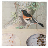 Vintages Vogelsammeleier Botanische Schrift Epheme Fliese (Vorderseite)