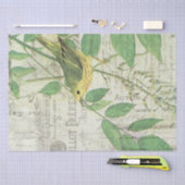 Vintages Vogelzwirn Seidenpapier (Handwerk)