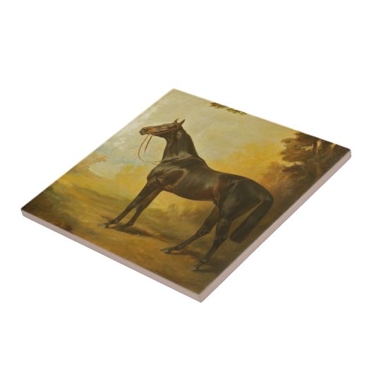 Vintages Vollblutpferd Fliese (Seite)