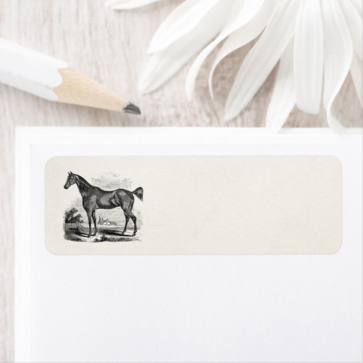 Vintages Vollblutpferd Reittier Personalisiert (Insitu)