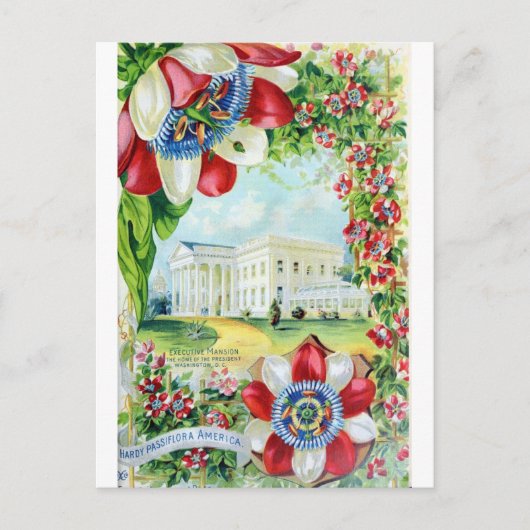 Vintages Washington DC White House Retro Travel Postkarte (Vorderseite)
