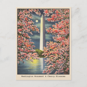 Vintages Washington Monument & Cherry Blossoms DC Postkarte