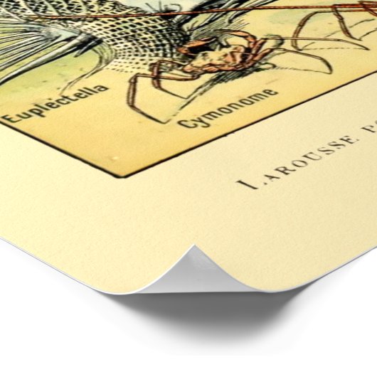 Vintages Wasserleben durch Adolphe Millot Poster (Ecke)