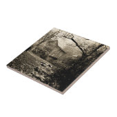 Vintages Wasserrad Fliese (Seite)