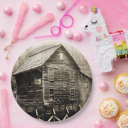 Vintages Wasserrad Pappteller (Party)