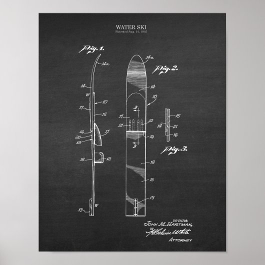 Vintages Wasserski Patent Nr. 4 Seehausdekor Poster (Vorne)