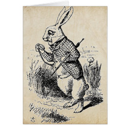 Vintages Weißes Kaninchen