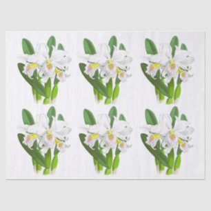 Vintages Weißes Orchideen-Blume-Tissue Paper Seidenpapier