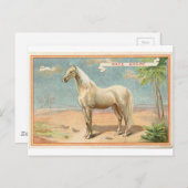 Vintages Weißhorn Grafik Postkarte (Vorne/Hinten)