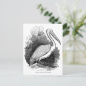 Vintages Weißpelikan Postkarte (Stehend Vorderseite)