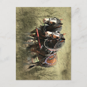 Vintages Wetter Clydesdale Postkarte