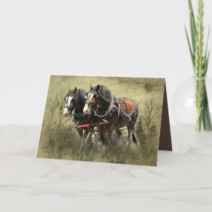 Vintages Wetter Clydesdale Postkarte