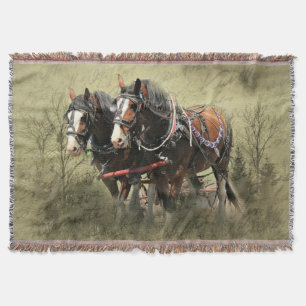Vintages Wetter Clydesdale Postkarte Decke
