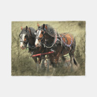 Vintages Wetter Clydesdale Postkarte