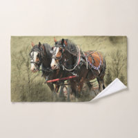 Vintages Wetter Clydesdale Postkarte