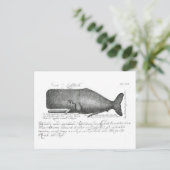 Vintages Whaldesign Postkarte (Stehend Vorderseite)