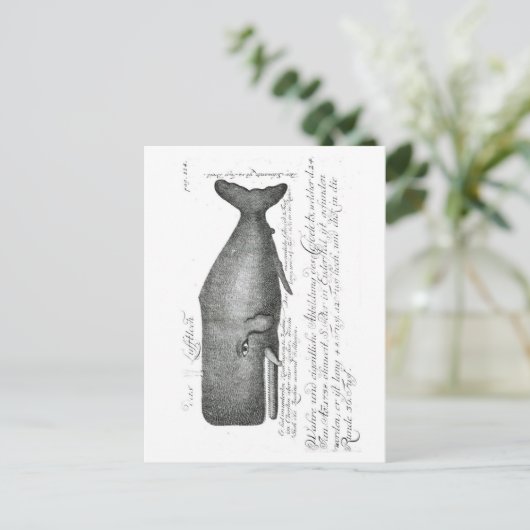 Vintages Whaldesign Postkarte (Stehend Vorderseite)