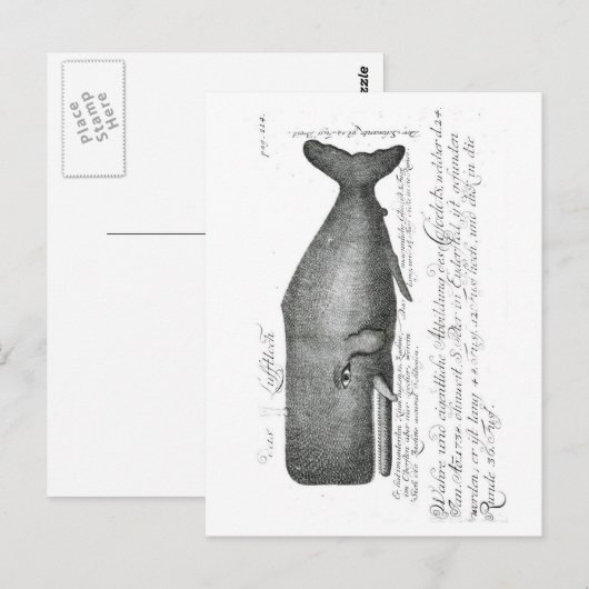 Vintages Whaldesign Postkarte (Vorne/Hinten)