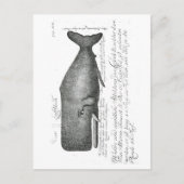 Vintages Whaldesign Postkarte (Vorderseite)