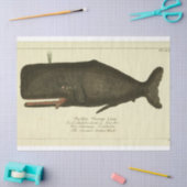 Vintages Whale Script Ephemera Decoupage Nautic Seidenpapier (Basteln)