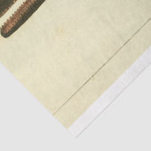 Vintages Whale Script Ephemera Decoupage Nautic Seidenpapier (Detail)