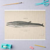 Vintages Whale Script Ephemera Decoupage Nautic Seidenpapier (Basteln)