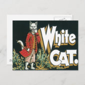 Vintages White Cat Cigar Postkarte (Vorne/Hinten)