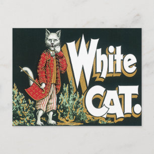 Vintages White Cat Cigar Postkarte