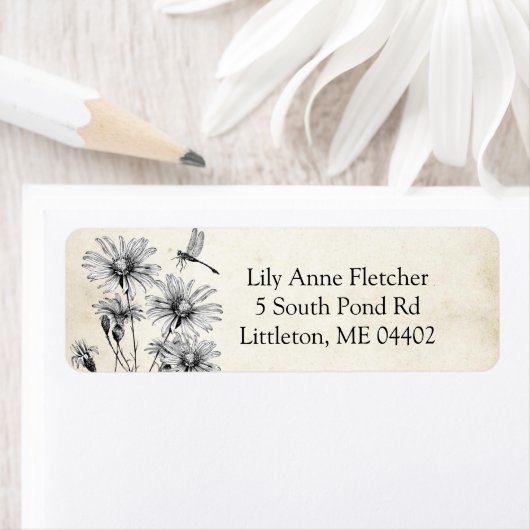 Vintages Wildblume-Parchment für Libellen (Insitu)