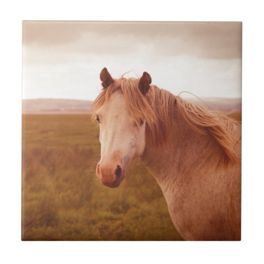 Vintages Wildpferd Fliese (Vorderseite)