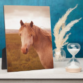 Vintages Wildpferd Fotoplatte (Seite)
