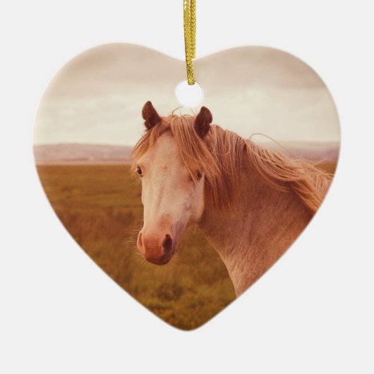 Vintages Wildpferd Keramik Ornament (Vorne)