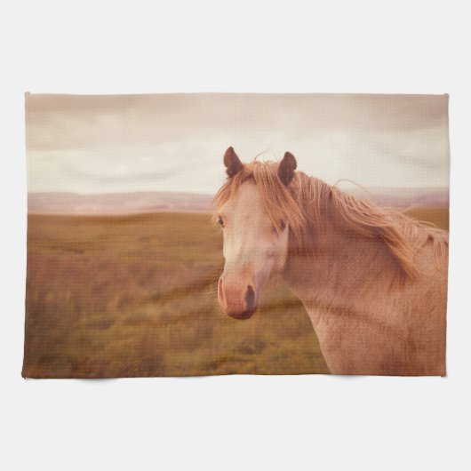 Vintages Wildpferd Küchentuch (Horizontal)