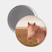Vintages Wildpferd Magnet (Vorderseite/Rückseite)