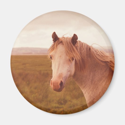 Vintages Wildpferd Magnet (Vorne)