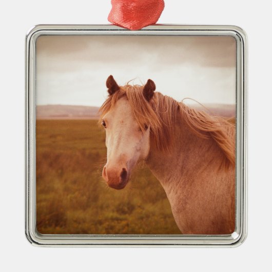 Vintages Wildpferd Silbernes Ornament (Vorne)