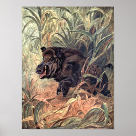 Vintages Wildtier Indian Boar von Winifred Austen Poster